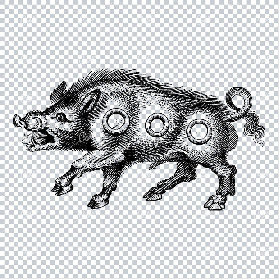 Vintage Heraldry Artwork - Wild Boar with Three Rings