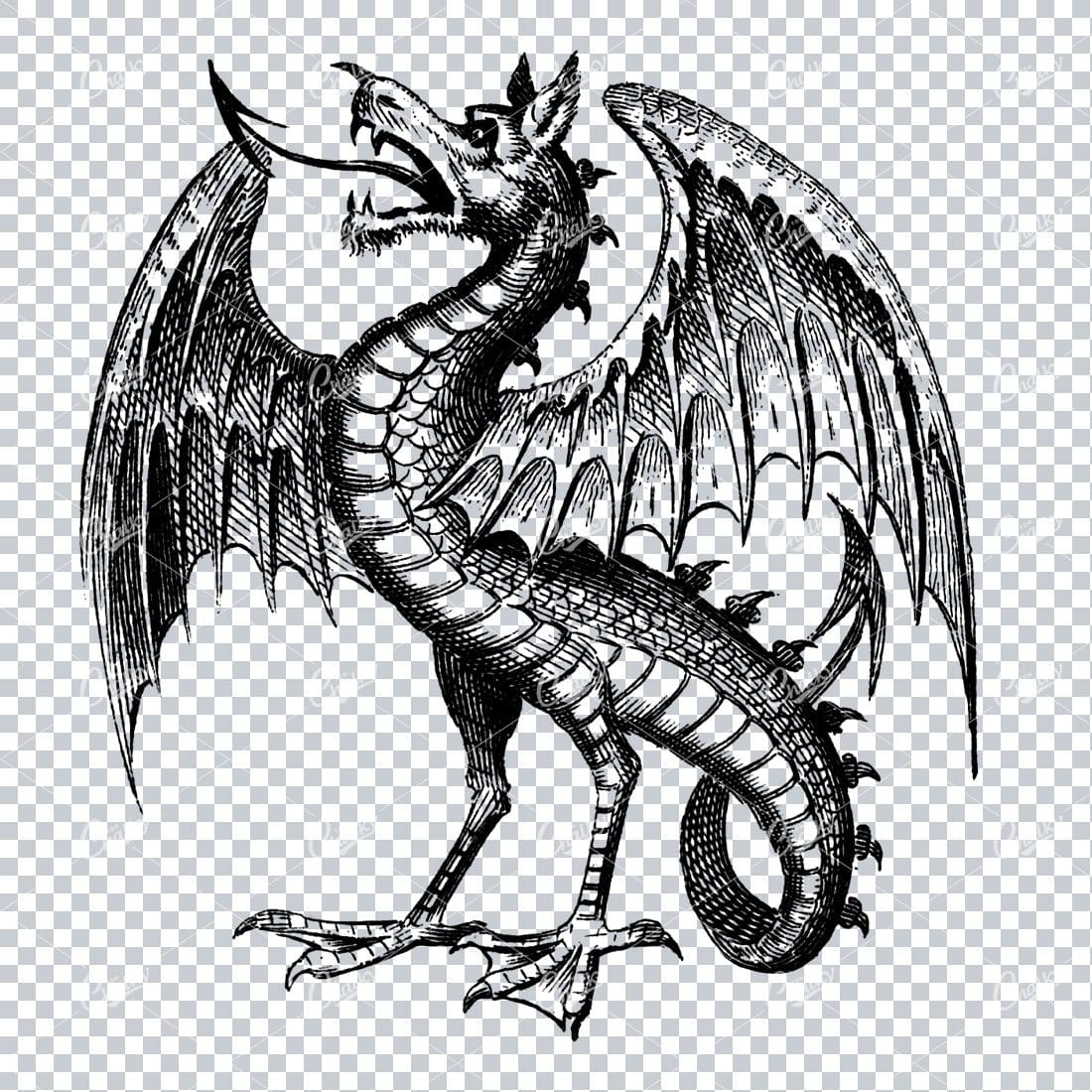 Antique Illustration of a Dragon