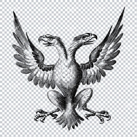 Antique Heraldry Line Art Drawing of a Two Headed Eagle