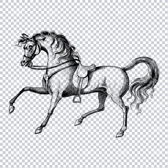 Antique Heraldry Illustration of a Horse