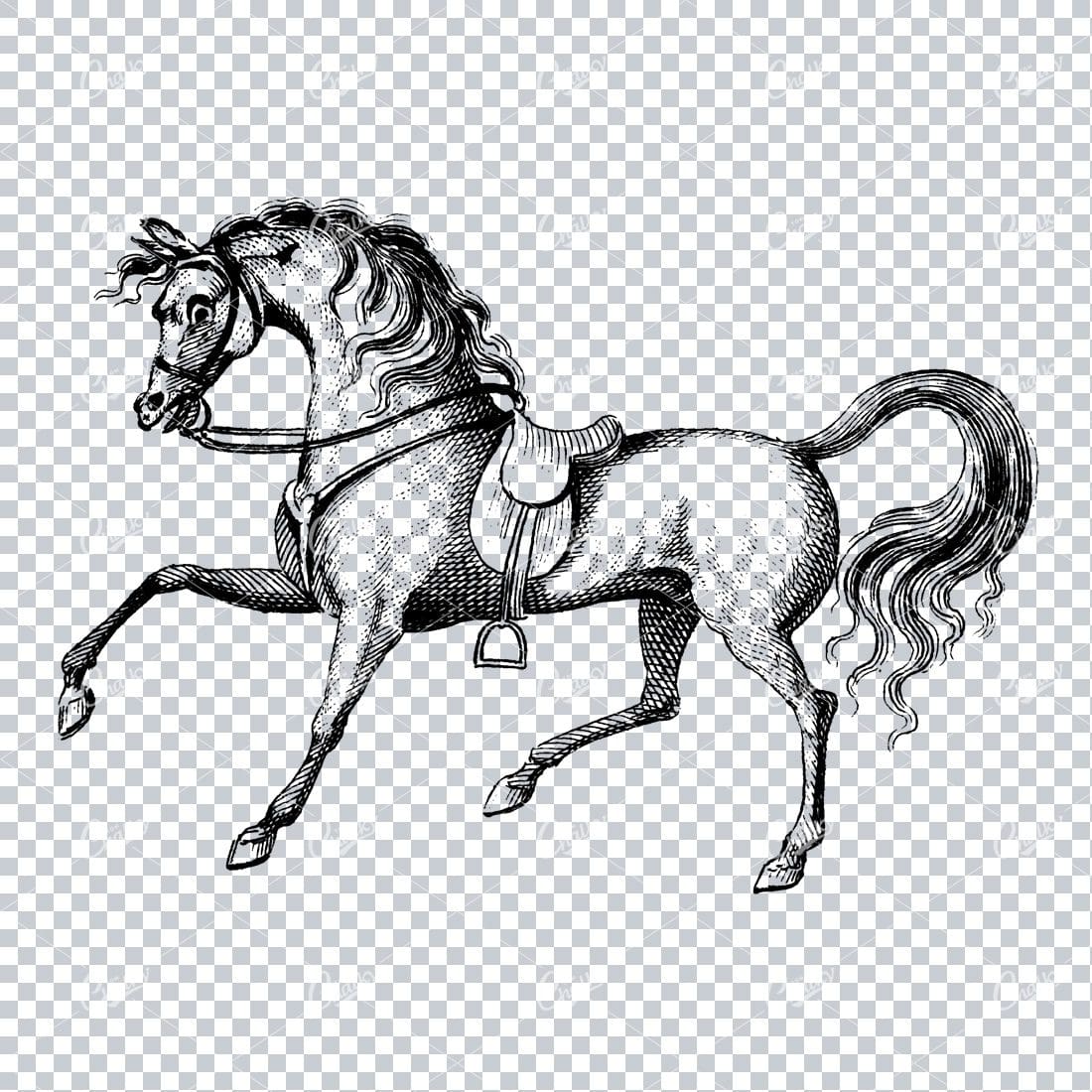 Antique Heraldry Illustration of a Horse