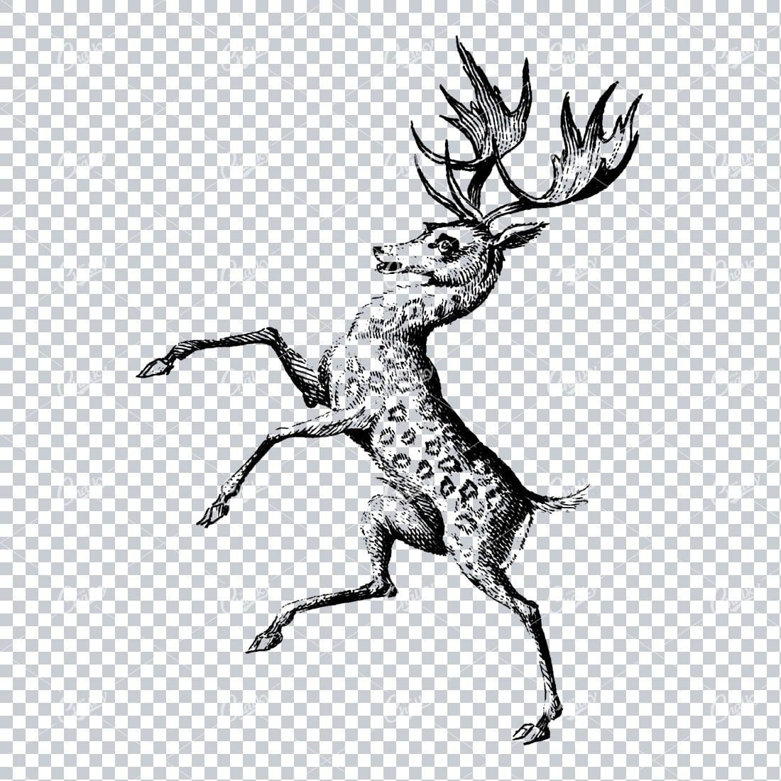 Antique Heraldry Illustration of a Stag