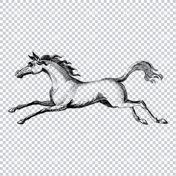 Antique Heraldry Illustration of a Running Horse