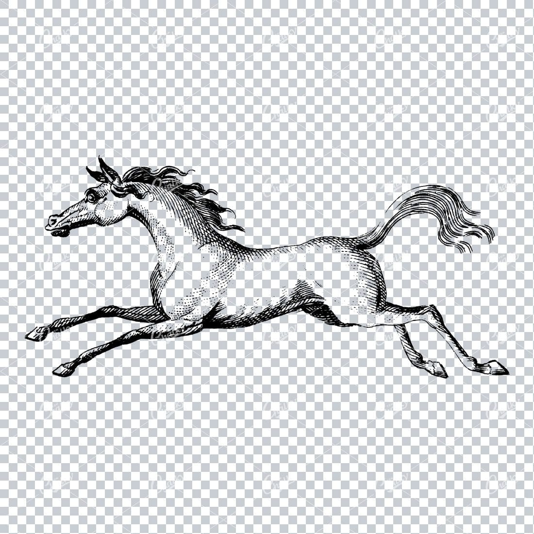 Antique Heraldry Illustration of a Running Horse