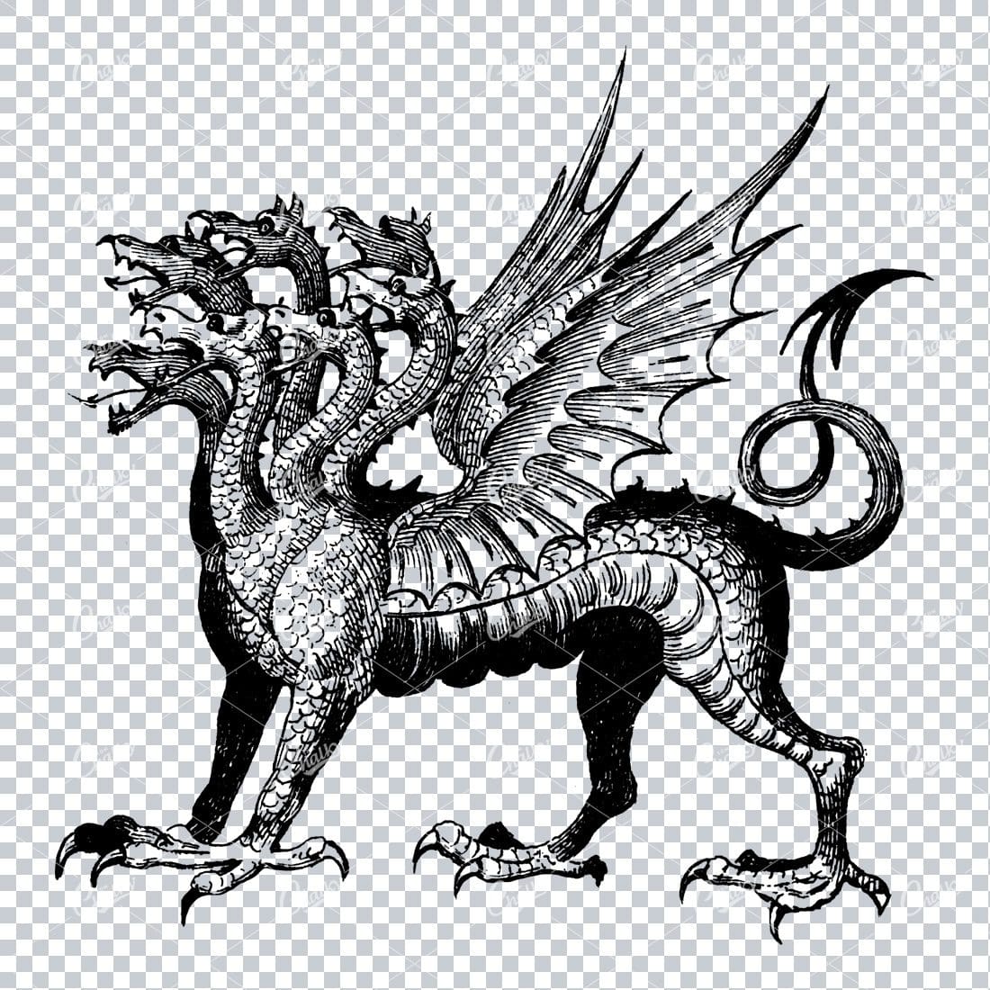 Antique Heraldry Illustration of a 7 Headed Dragon