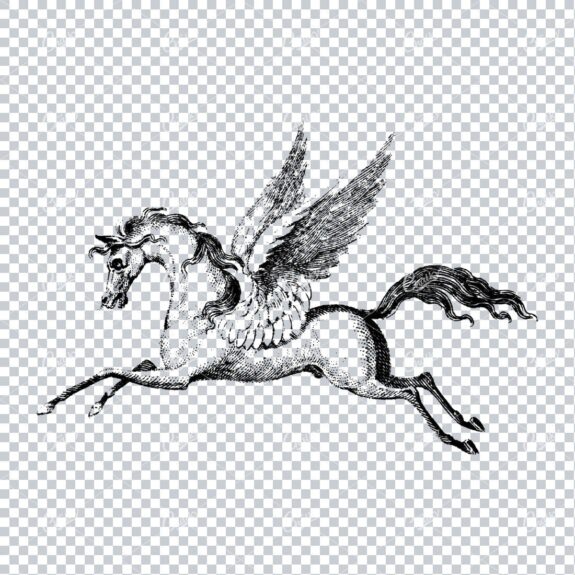 Antique Line Art Illustration of a Horse with Wings