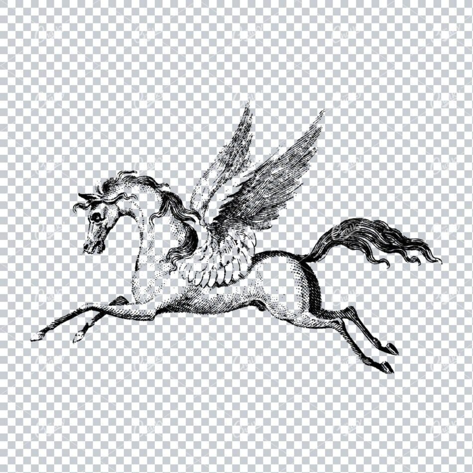 Antique Line Art Illustration Of A Horse With Wings