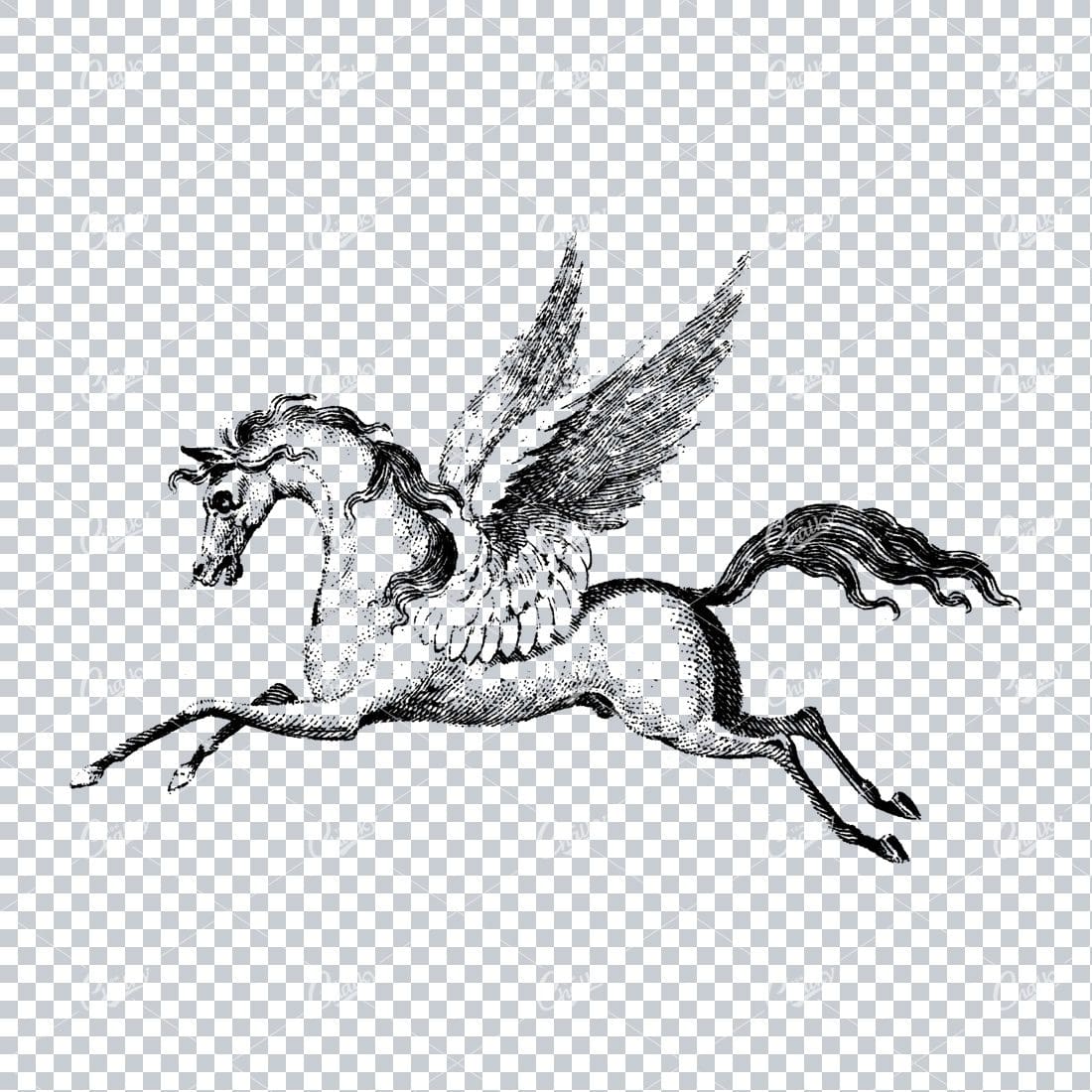 Antique Line Art Illustration of a Horse with Wings