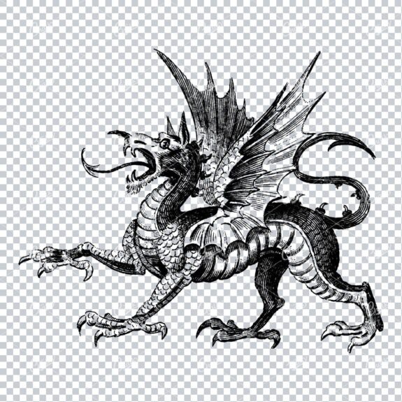 Vintage Illustration of a Dragon