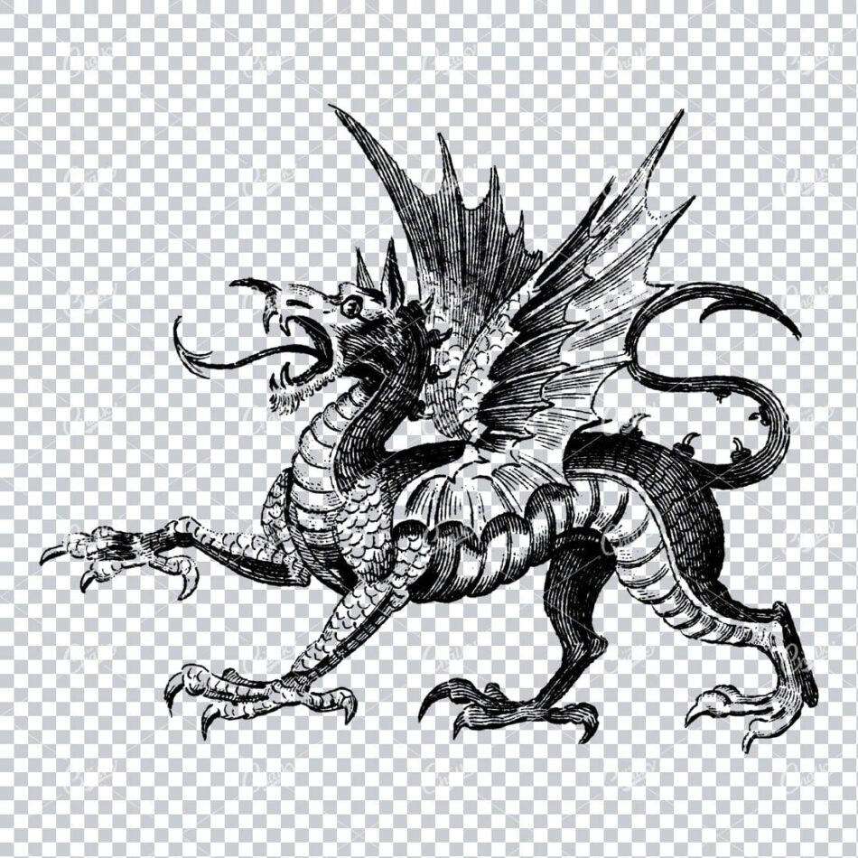 Vintage Illustration Of A Dragon