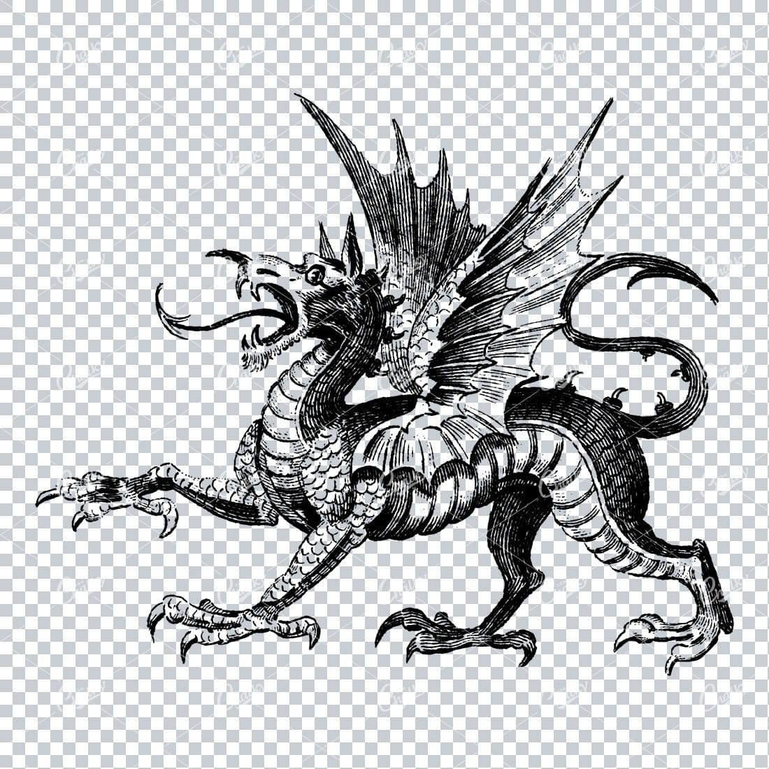 Vintage Illustration of a Dragon