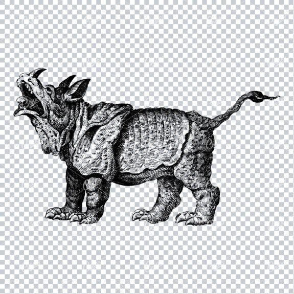 Vintage Illustration of a Rhino