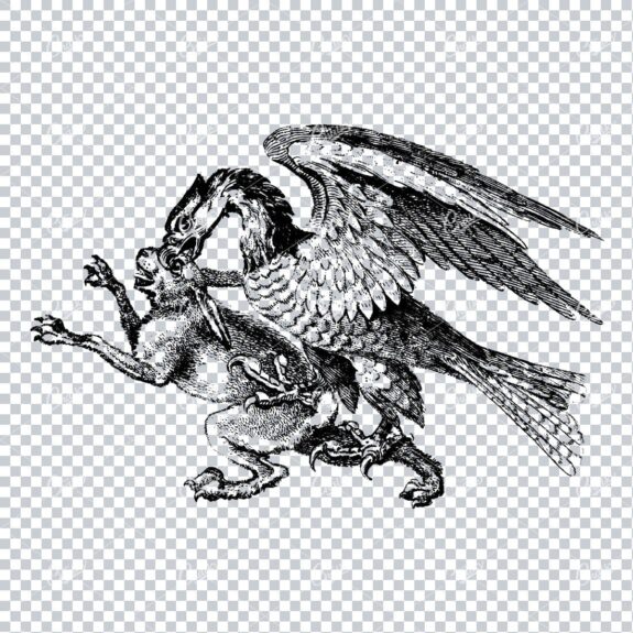 Vintage Clip Art of Eagle Fighting a Hare