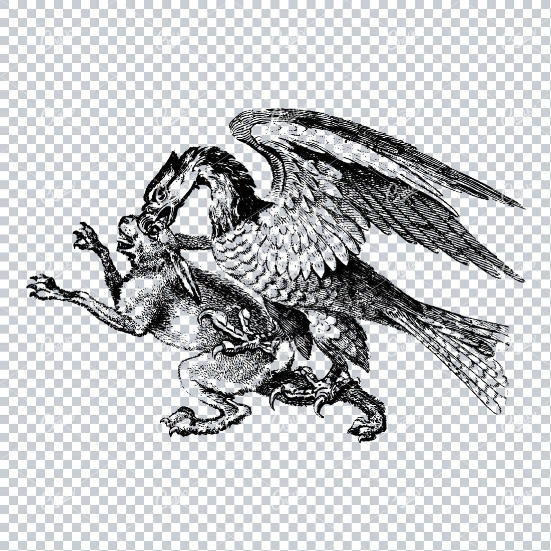 Vintage Clip Art of Eagle Fighting a Hare