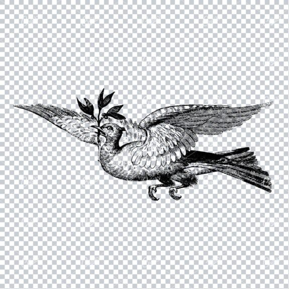 Vintage Clip Art of Bird Carrying Branch
