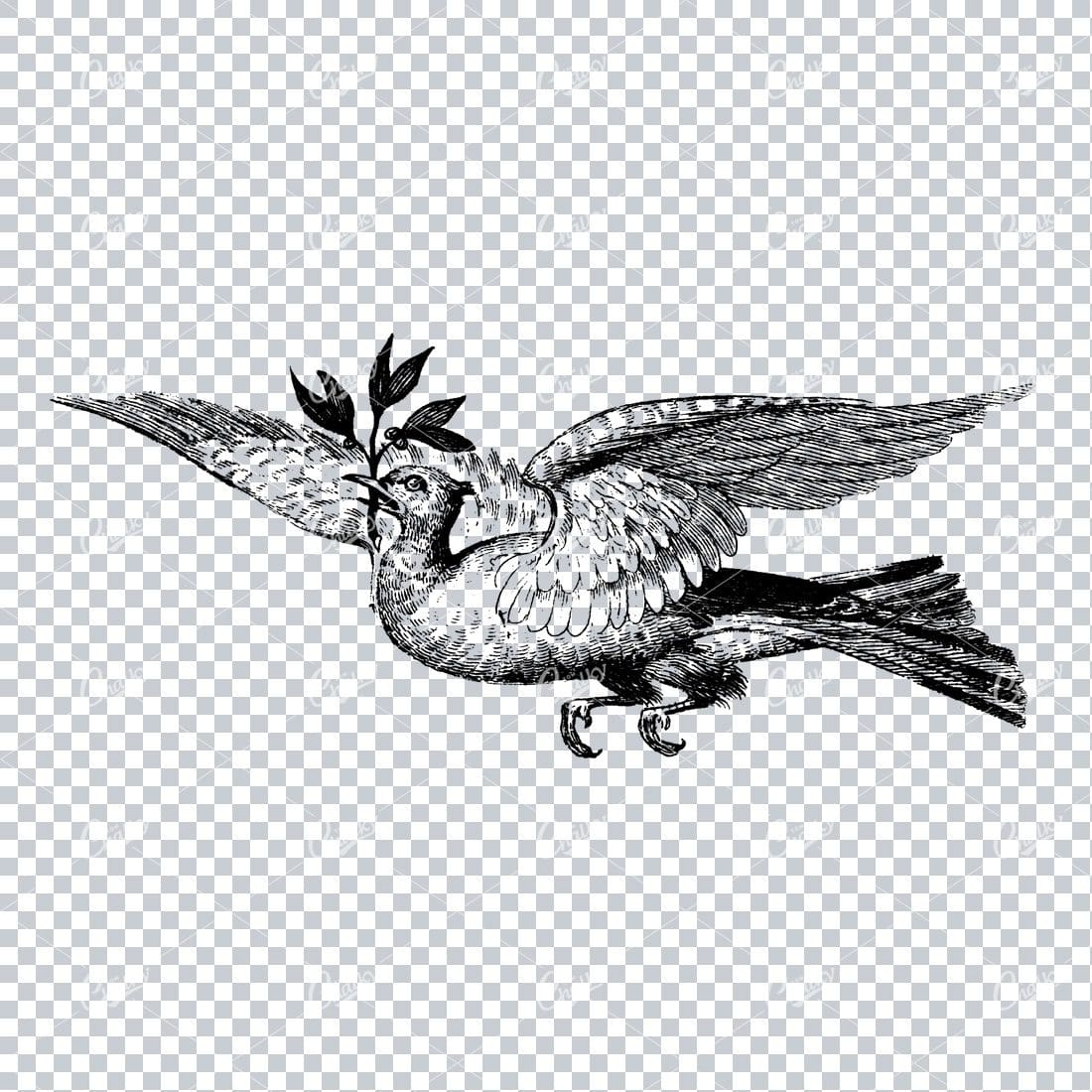 Vintage Clip Art of Bird Carrying Branch
