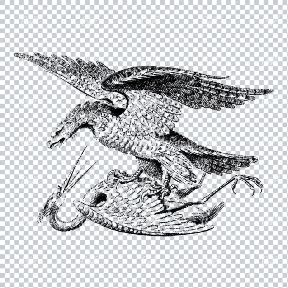 Vintage Clip Art of Eagle Fighting a Stork