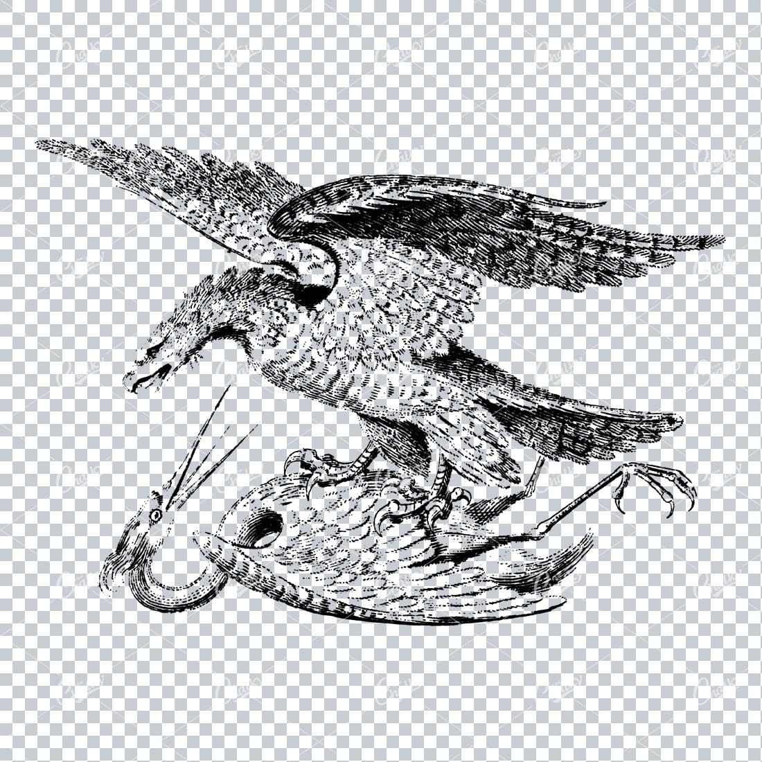 Vintage Clip Art of Eagle Fighting a Stork
