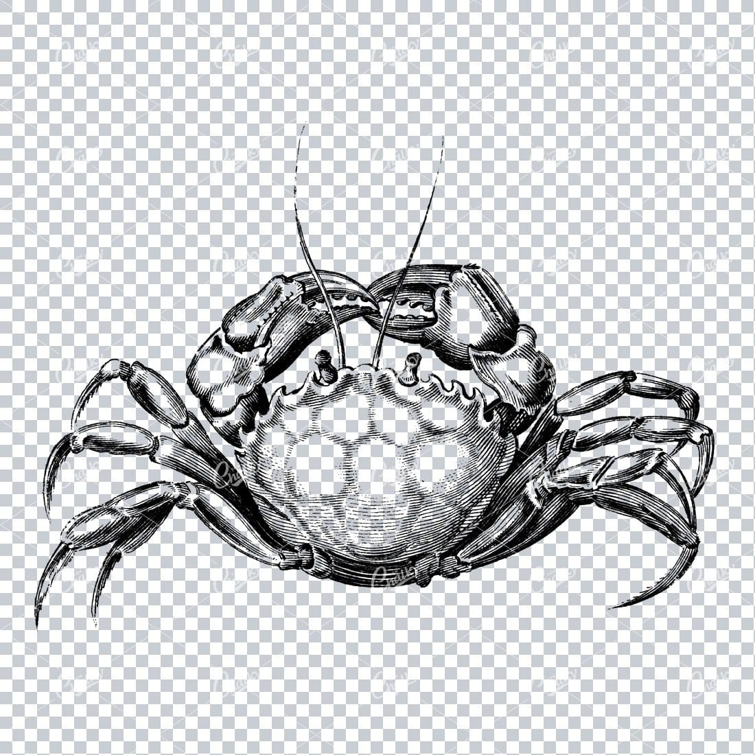 Clip Art Illustration of a Crab