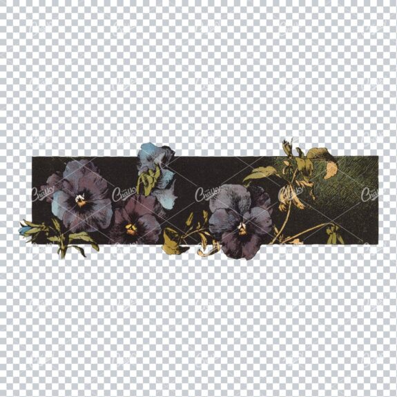 Black Banner With Plants And Flowers Overlaying No.1