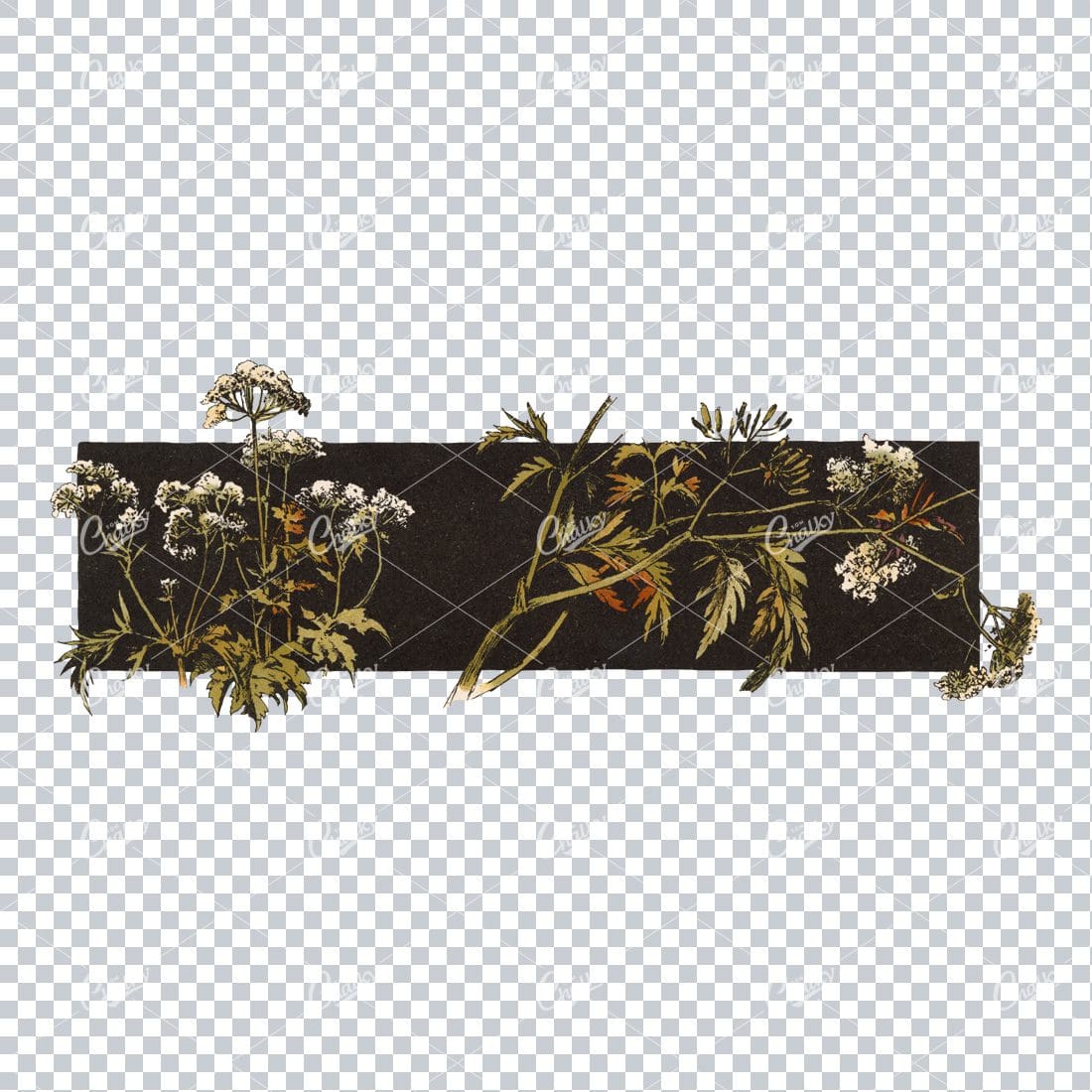 Black Banner with Plants and Flowers Overlaying No.2