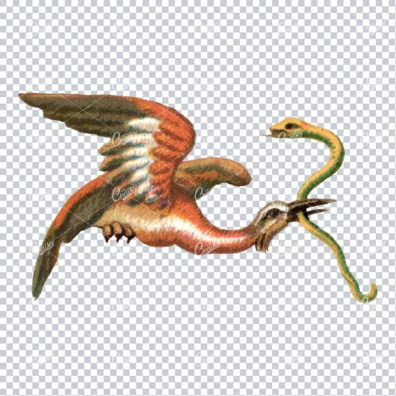 Old Colored Illustration of a Flying Bird With Snake in Beak