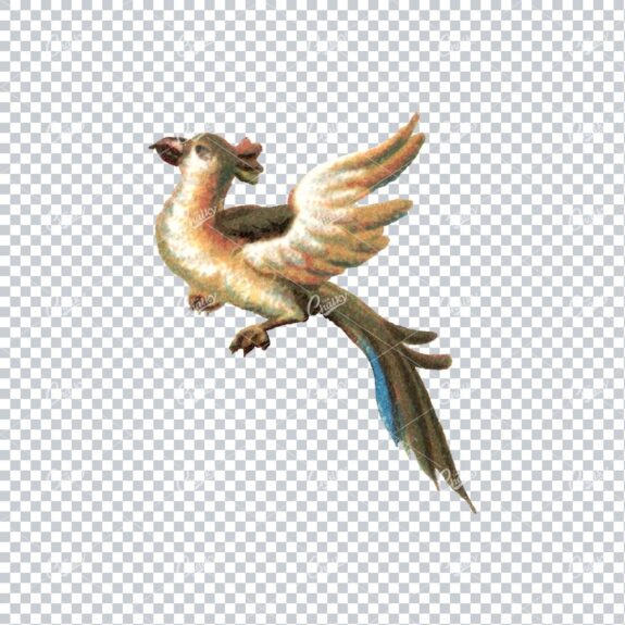 Bird with Long Tail Vintage Colored Illustration