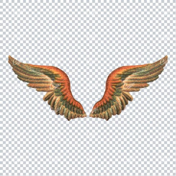 Vintage Colored Illustration of a Pair of Bird Wings