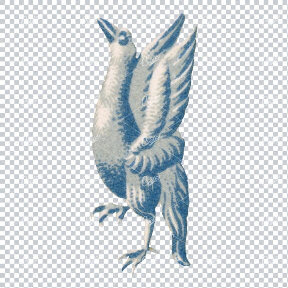 Vintage Colored Illustration of a Blue and White Bird