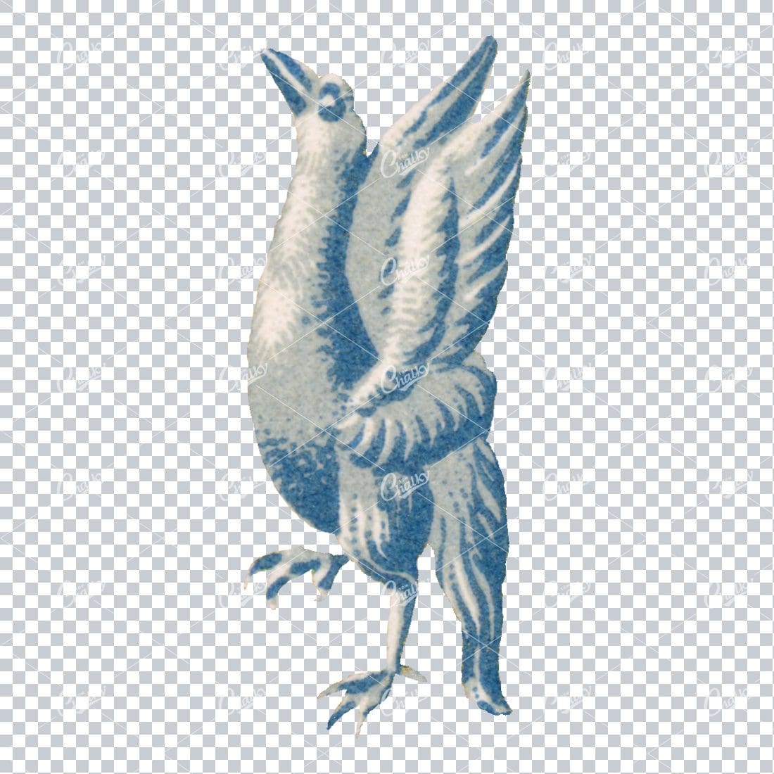Vintage Colored Illustration of a Blue and White Bird