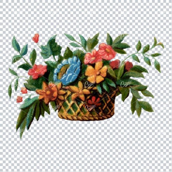 Decorative Floral / Botanical Vintage Colored Illustration No.5