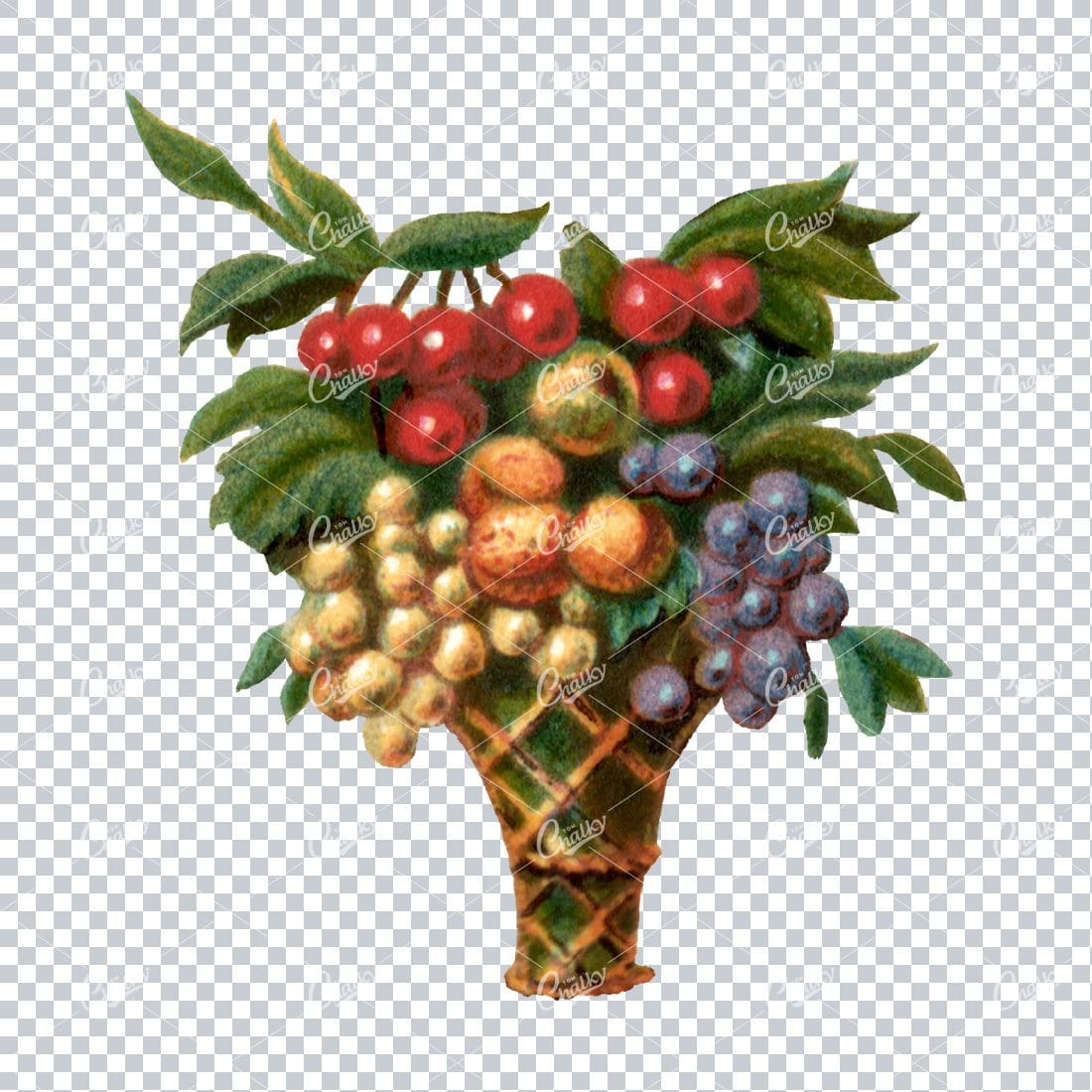 Decorative Floral / Botanical Vintage Colored Illustration No.6