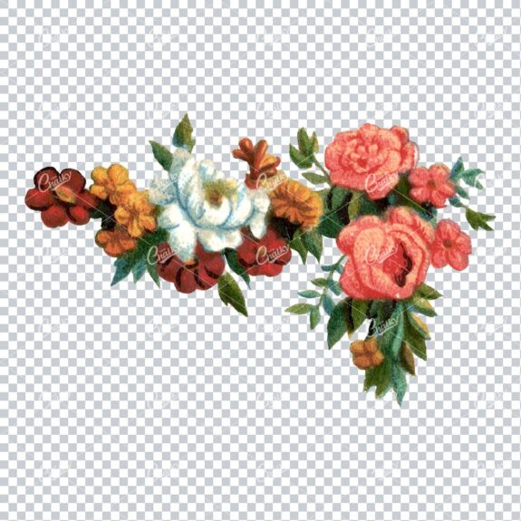 Decorative Floral / Botanical Vintage Colored Illustration No.7