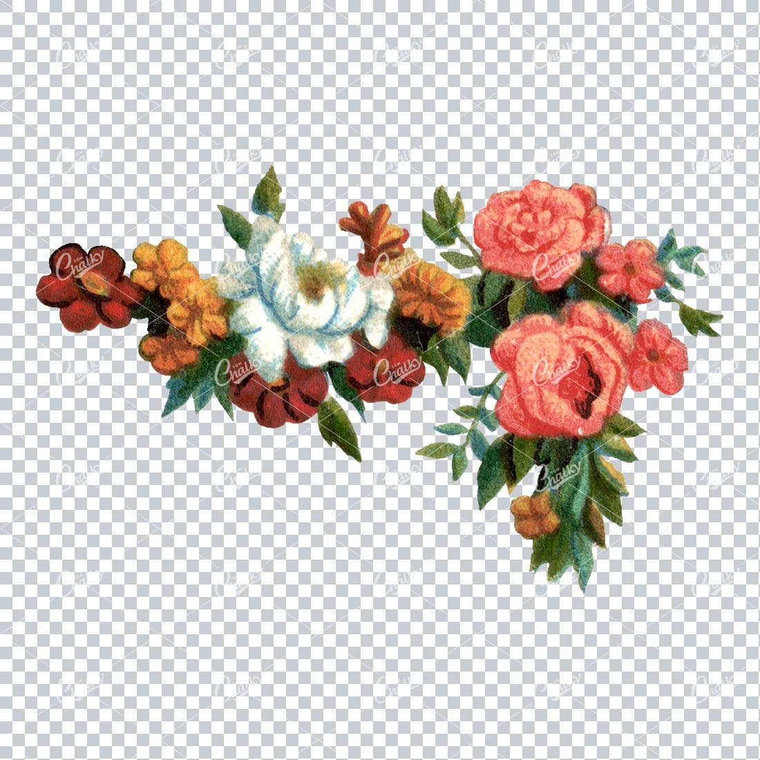 Decorative Floral / Botanical Vintage Colored Illustration No.7