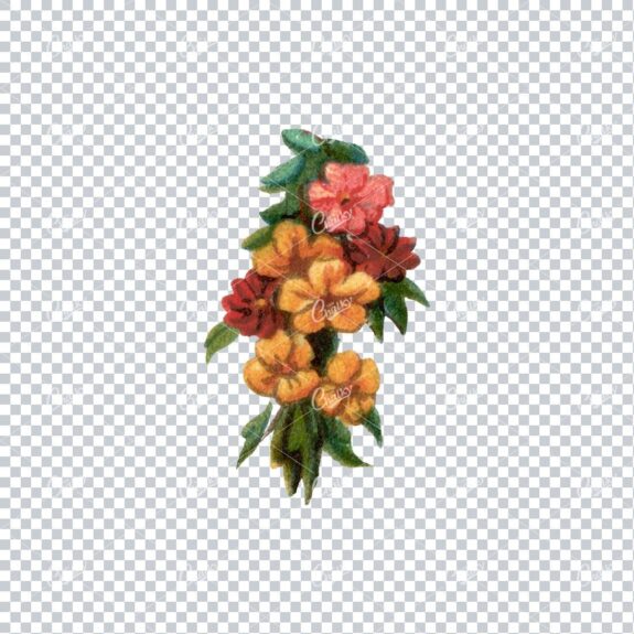 Decorative Floral / Botanical Vintage Colored Illustration No.9