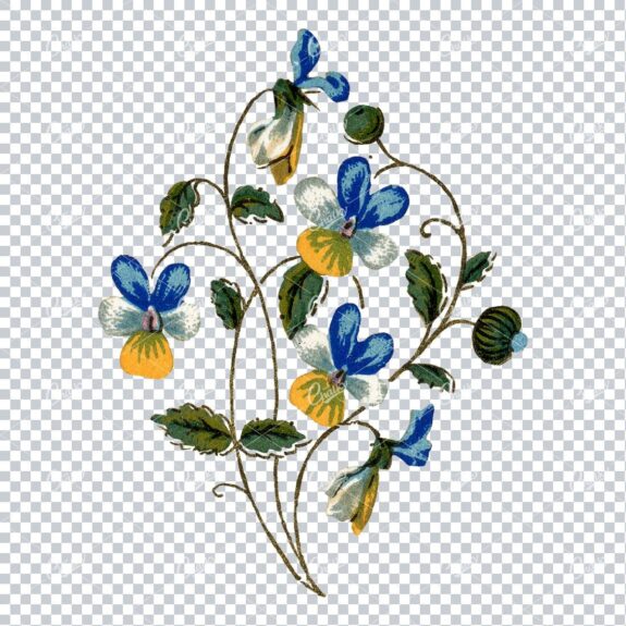 Decorative Floral / Botanical Vintage Colored Illustration No.10