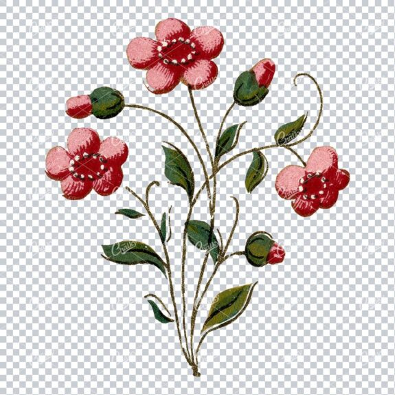 Decorative Floral / Botanical Vintage Colored Illustration No.12