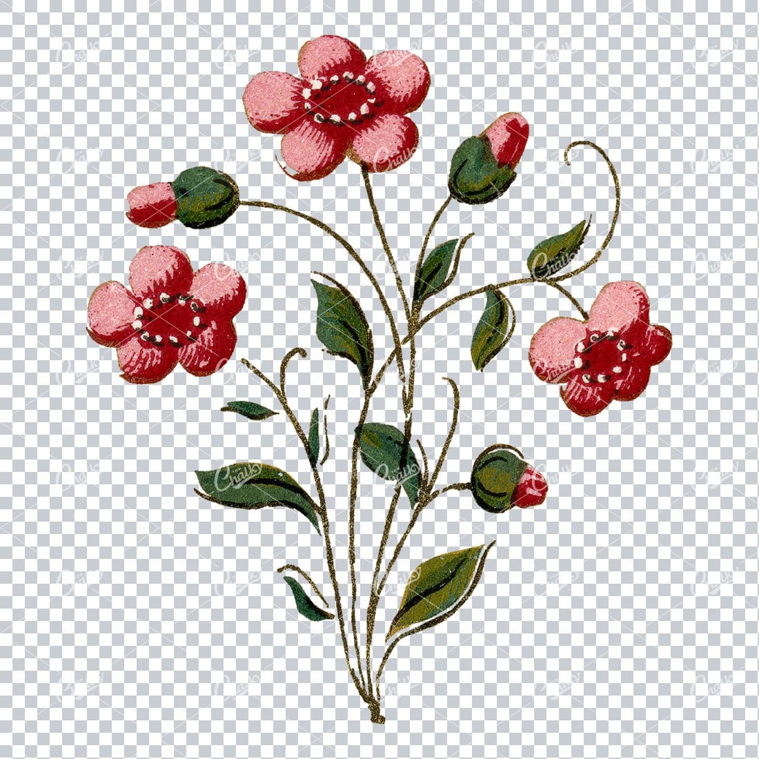 Decorative Floral / Botanical Vintage Colored Illustration No.12