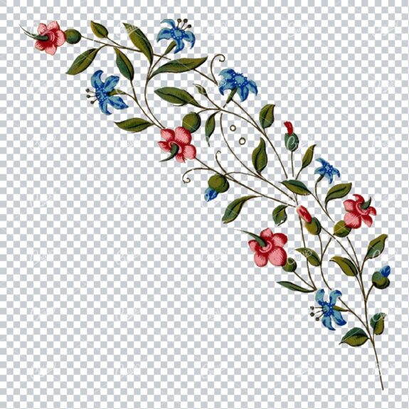 Decorative Floral / Botanical Vintage Colored Illustration No.15