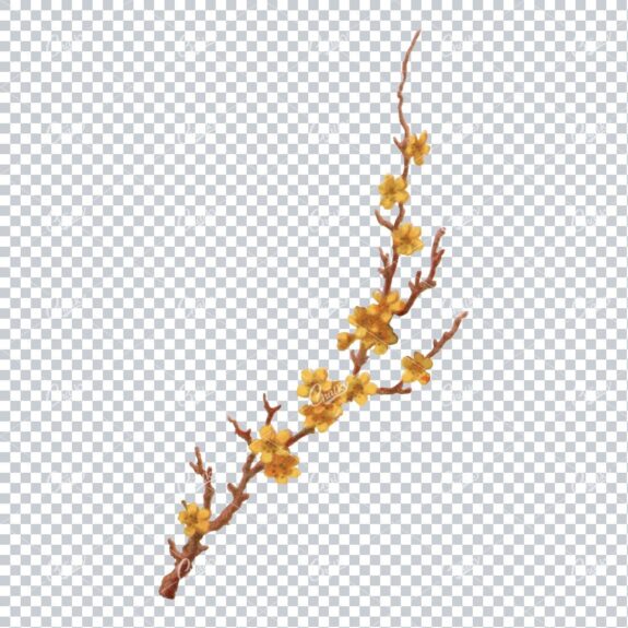 Decorative Floral / Botanical Vintage Colored Illustration No.19
