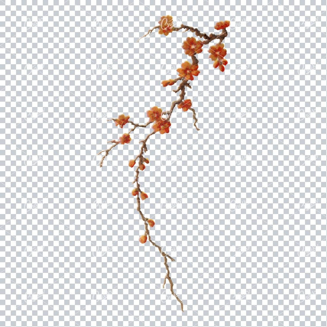 Decorative Floral / Botanical Vintage Colored Illustration No.24