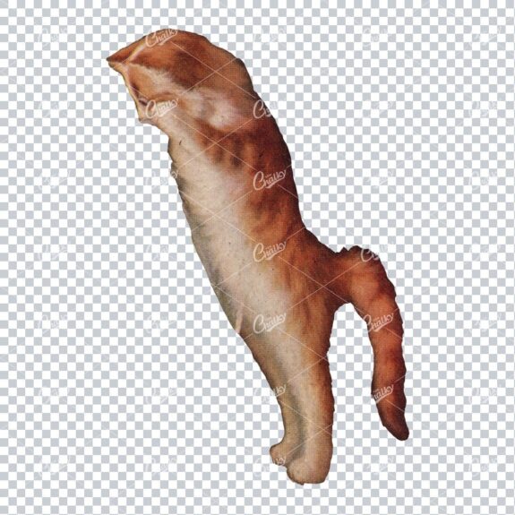 Vintage Painting of a Ginger Cat on its Hind Legs