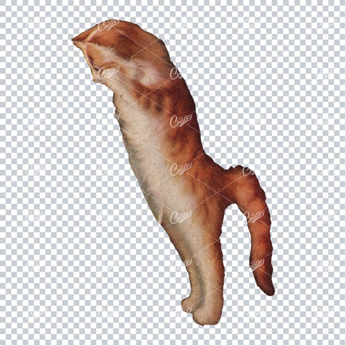 Vintage Painting of a Ginger Cat on its Hind Legs