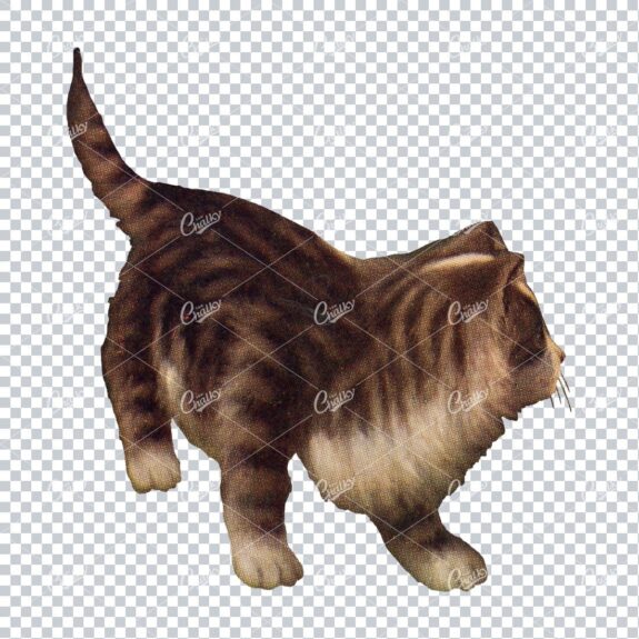 Vintage Painting of a Tabby Kitten