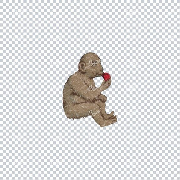 Vintage Color Illustration of a Monkey Eating an Apple