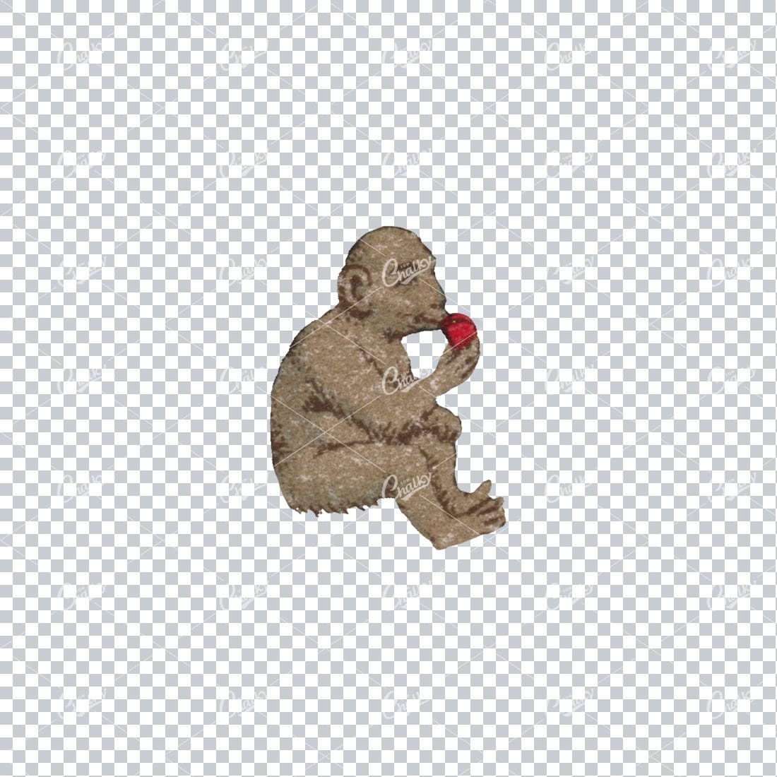 Vintage Color Illustration of a Monkey Eating an Apple