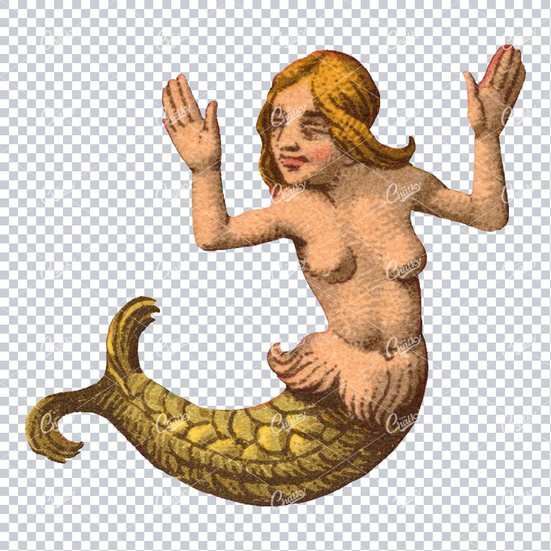 Vintage Handdrawn Illustration of a Mermaid