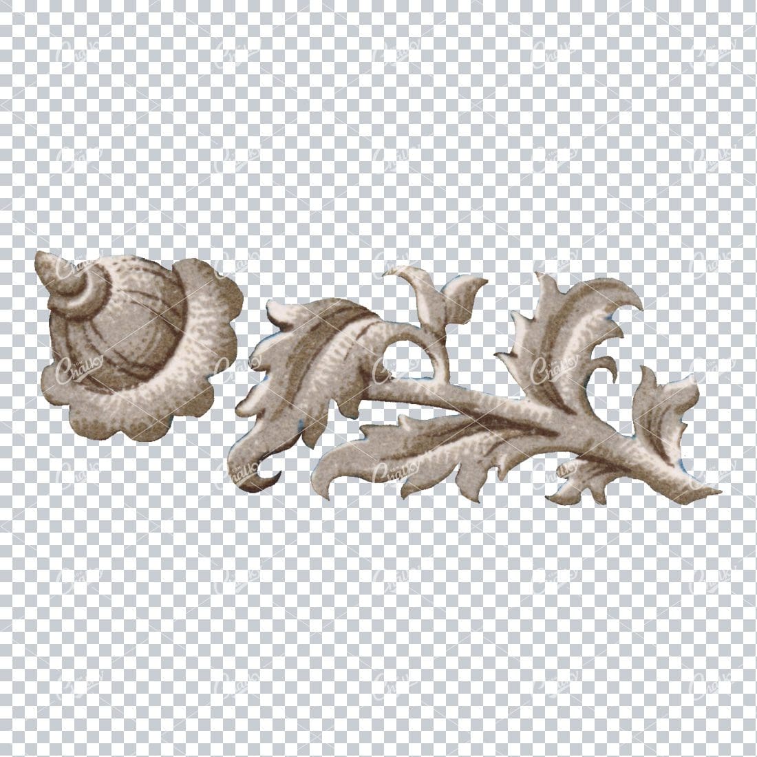 Flourished Botanical Illustration - Design Element No.9