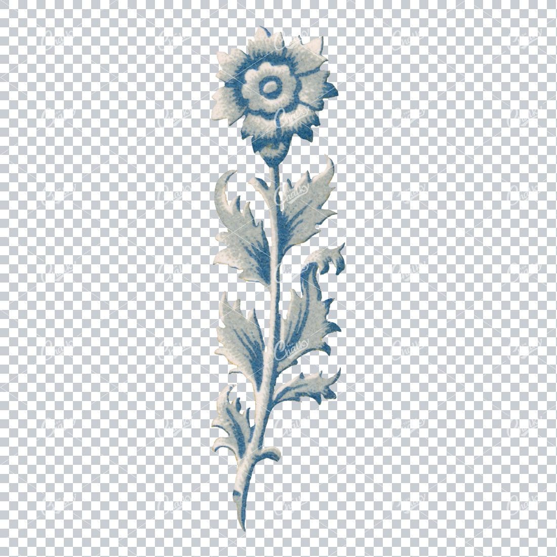 Flourished Botanical Illustration - Design Element No.10