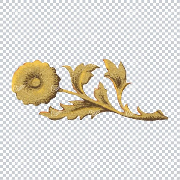 Flourished Botanical Illustration - Design Element No.11